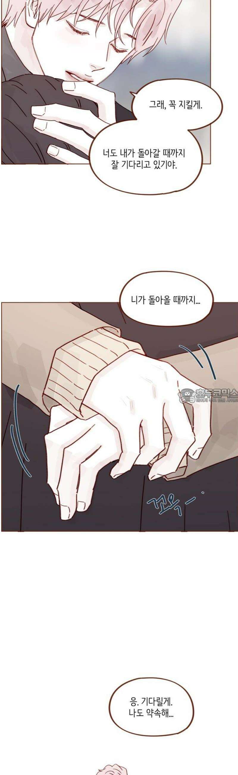 홍시는 날 좋아해 340화 : 우리 같이 약속해 13