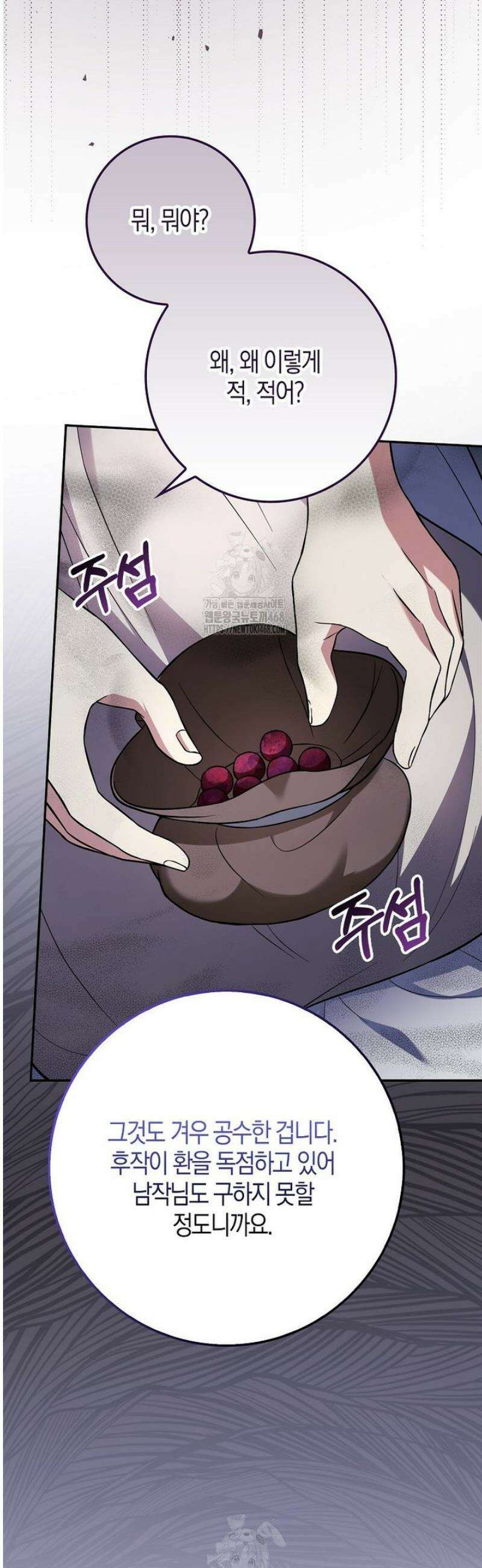 언젠가 도망칠 가짜 신부입니다 19화 8