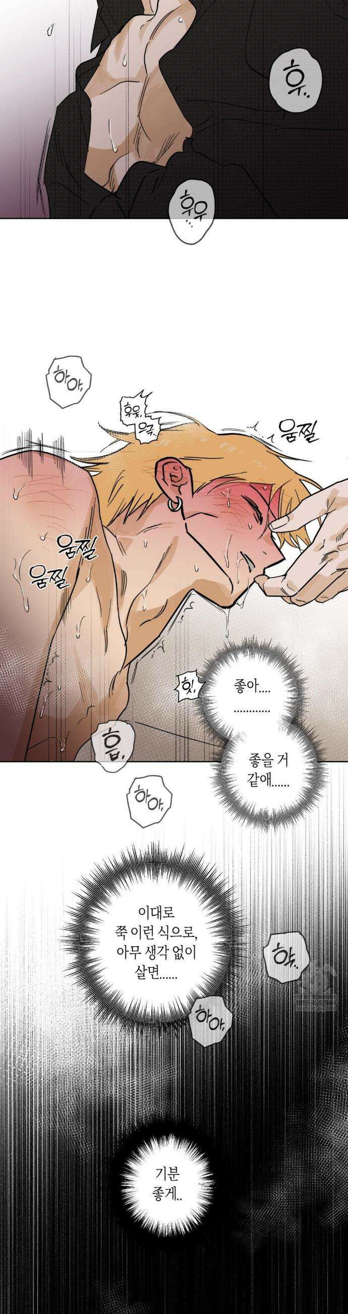풀북 13화 5