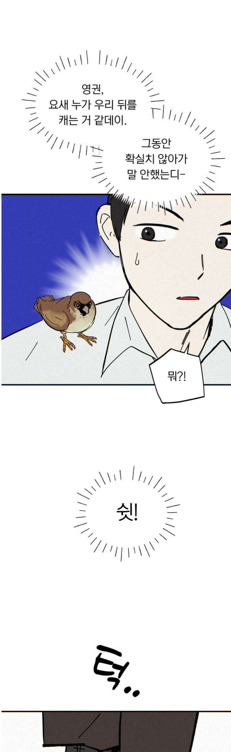 성북구 비둘기 이헌서 56화) 참새 수철(4) 10