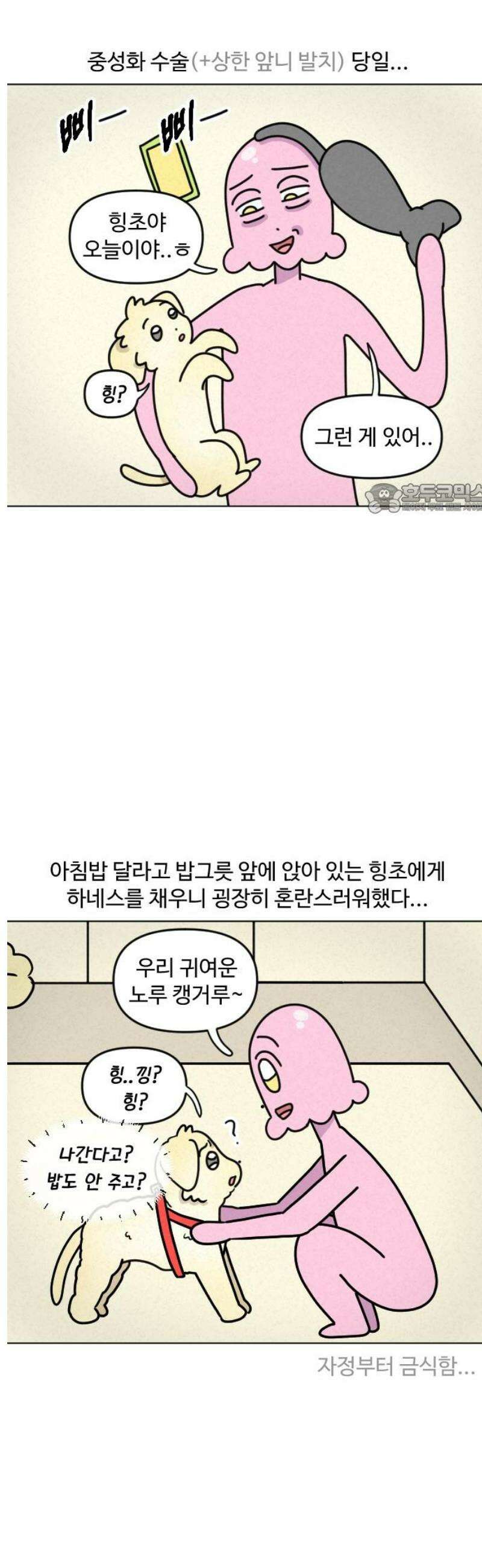 쌉초의 난 168화 중성 힝초1 4