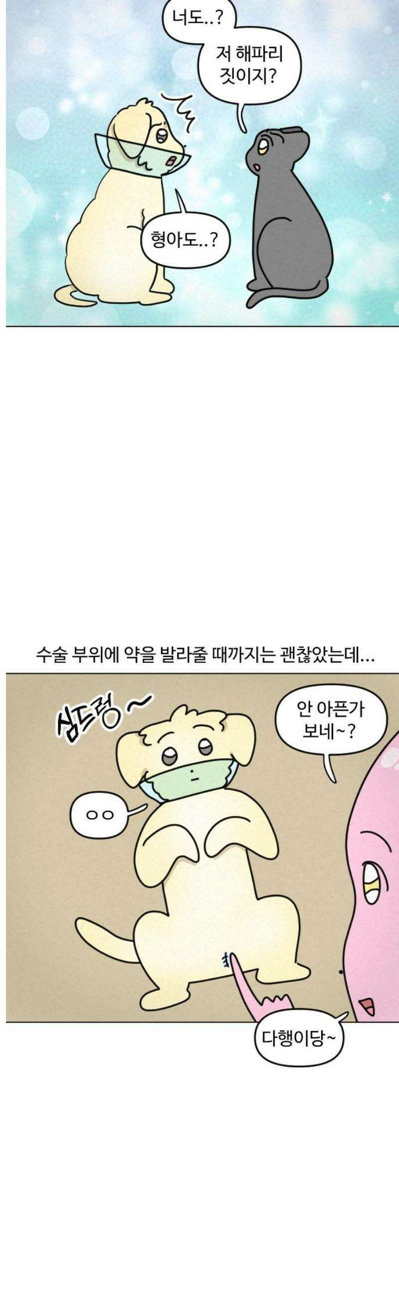 쌉초의 난 168화 중성 힝초1 11