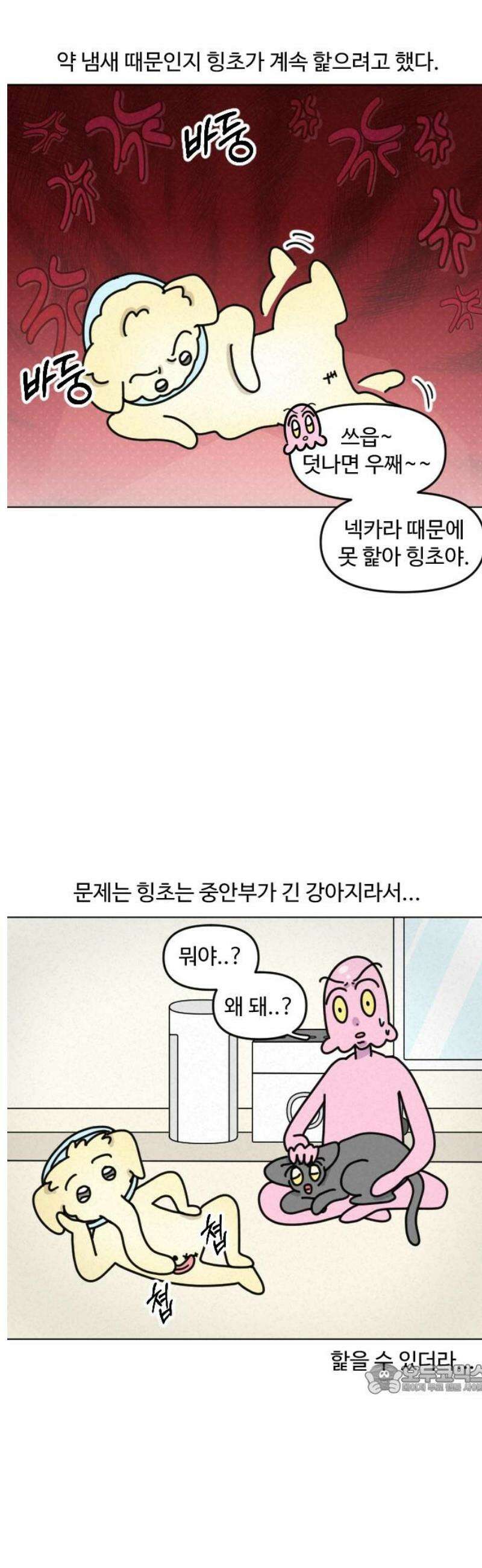 쌉초의 난 168화 중성 힝초1 12