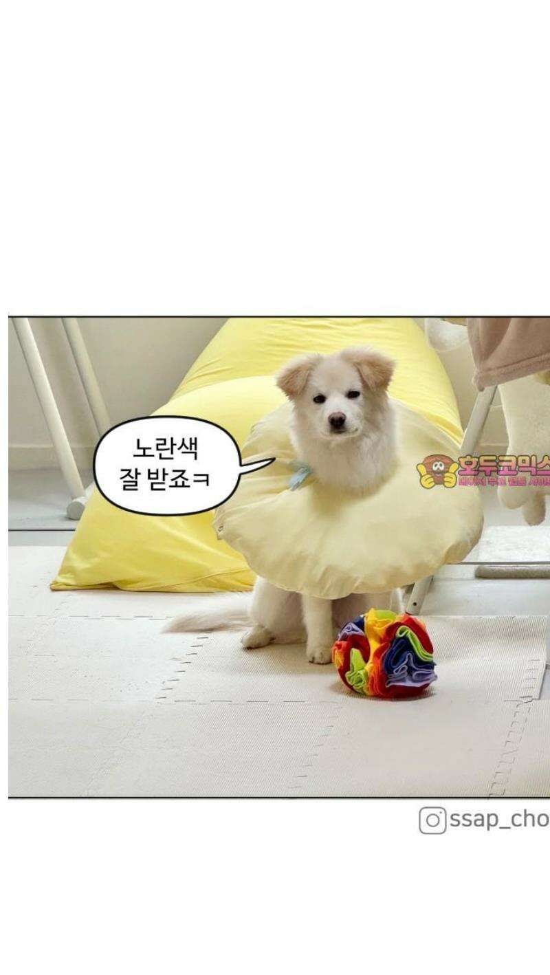 쌉초의 난 168화 중성 힝초1 14