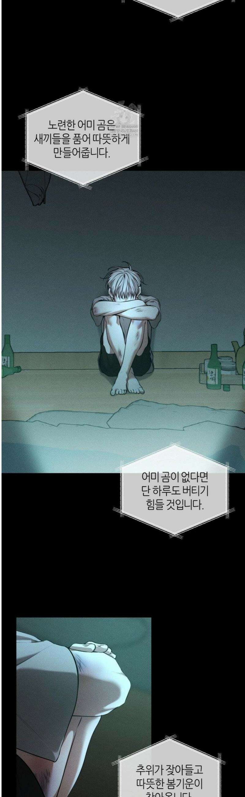 디어, 테디베어 51화 2
