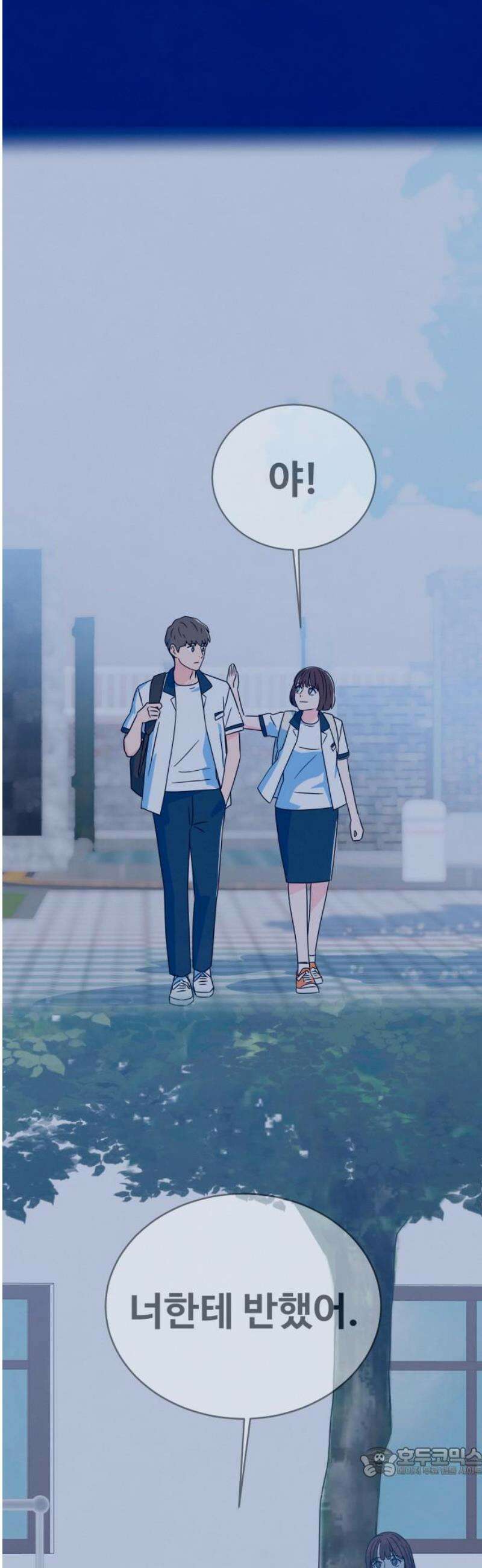 메리지 블루스 51화 19