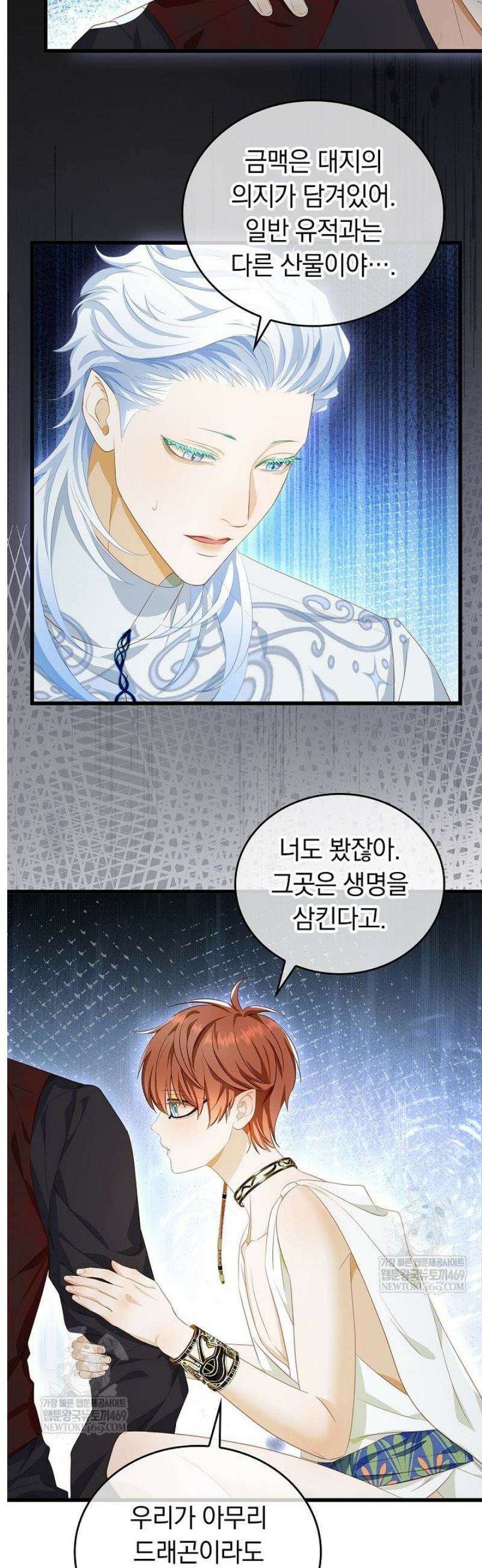 황태자의 용으로 태어났다 87화 3