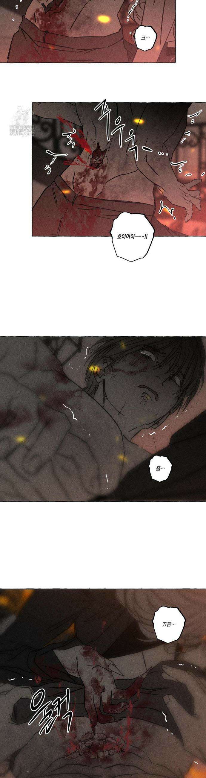 뼈와 꽃잎 67화 3
