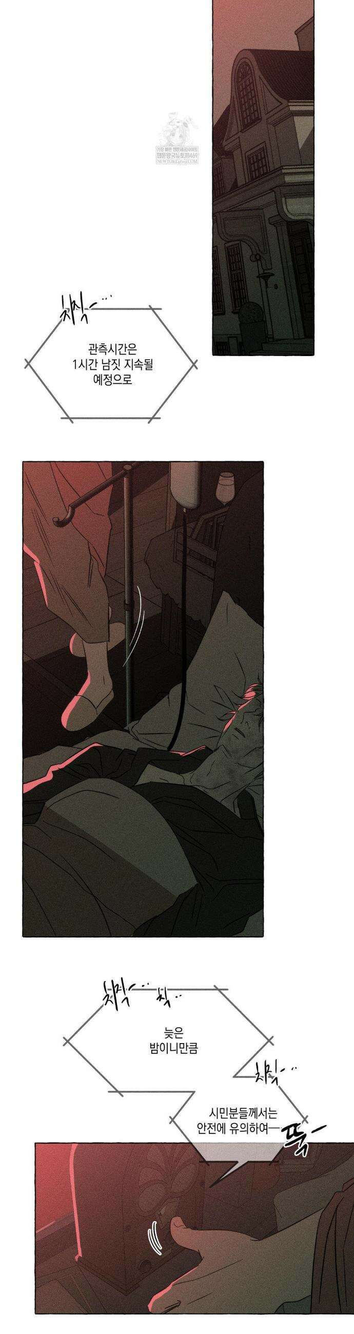 뼈와 꽃잎 68화 3
