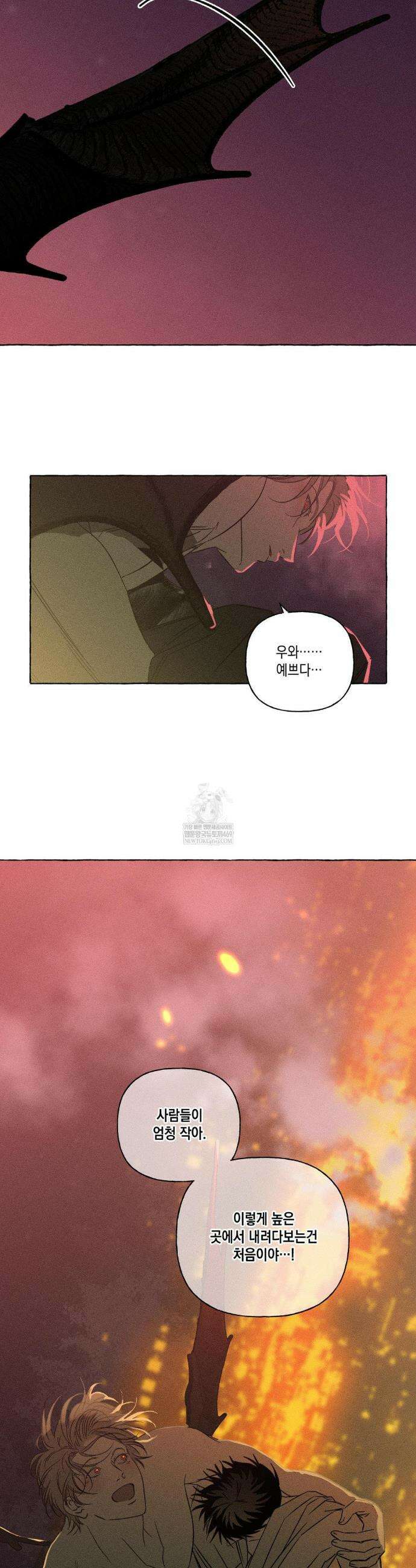 뼈와 꽃잎 68화 27