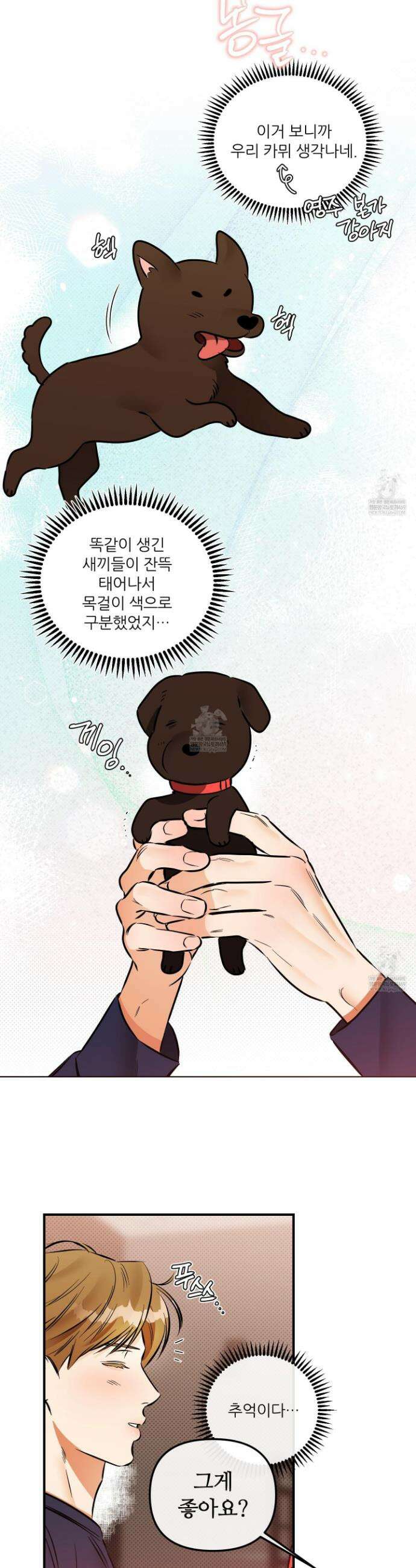 내겐 너무 귀여운 그 새끼 18화 2