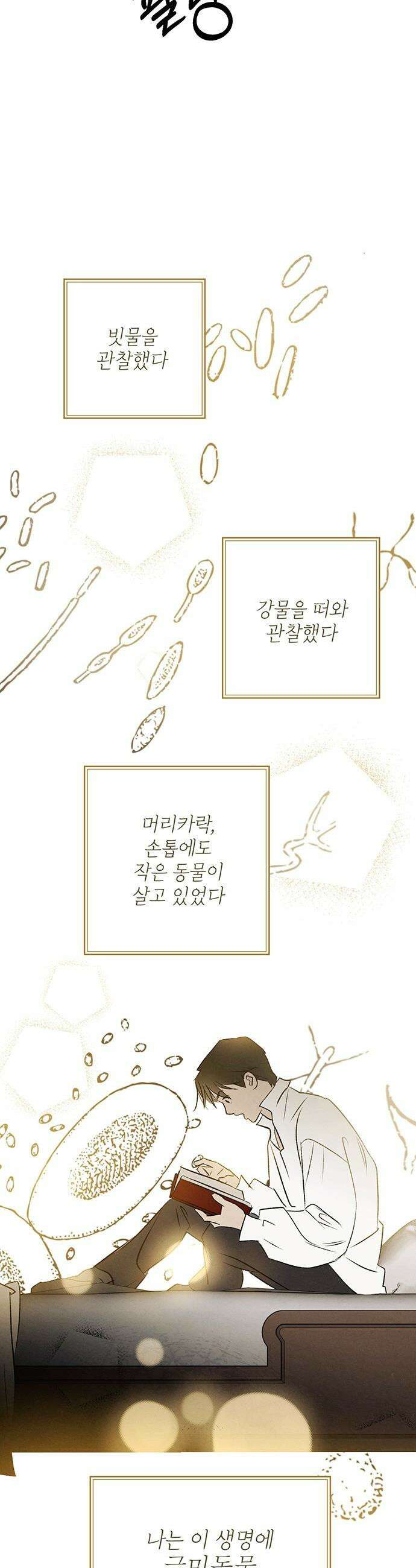 검은 머리 영국 의사 - 48화 세균의 증명 (2) 19