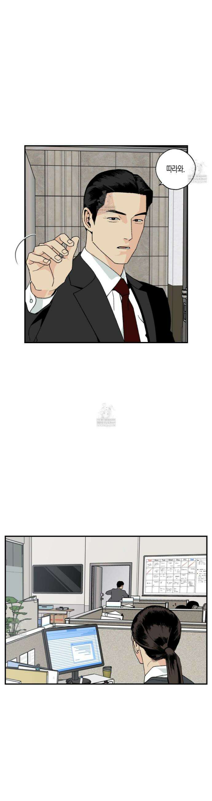주의 평화 14화 9