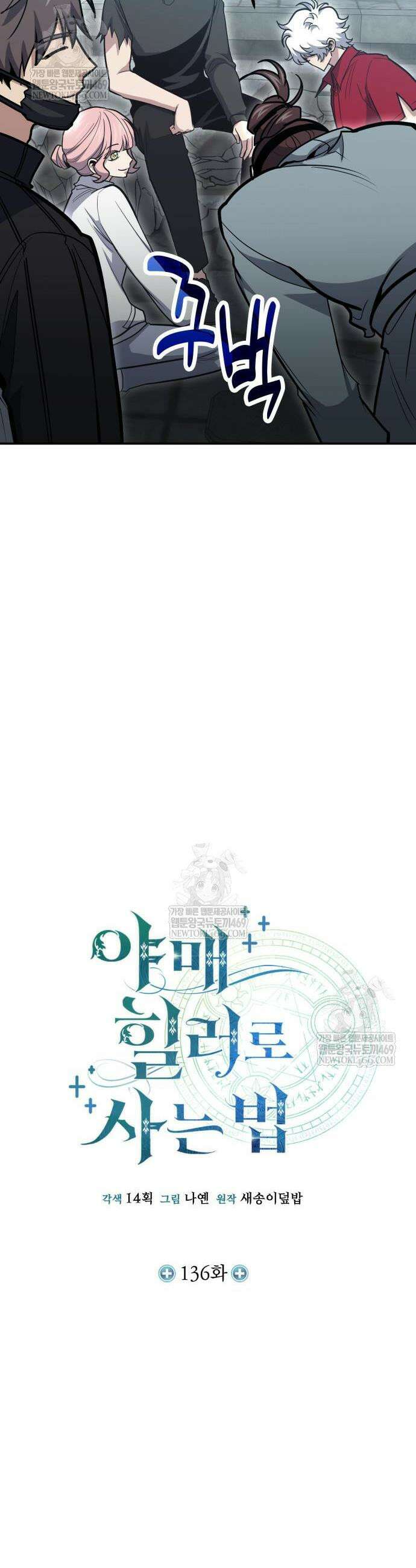 야매 힐러로 사는 법 136화 14