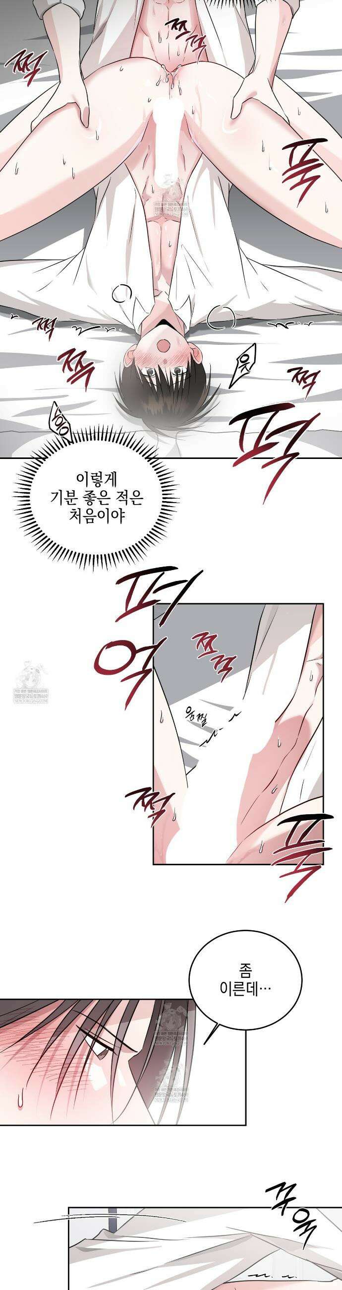 더블엑스라지(XXL) 35화 7