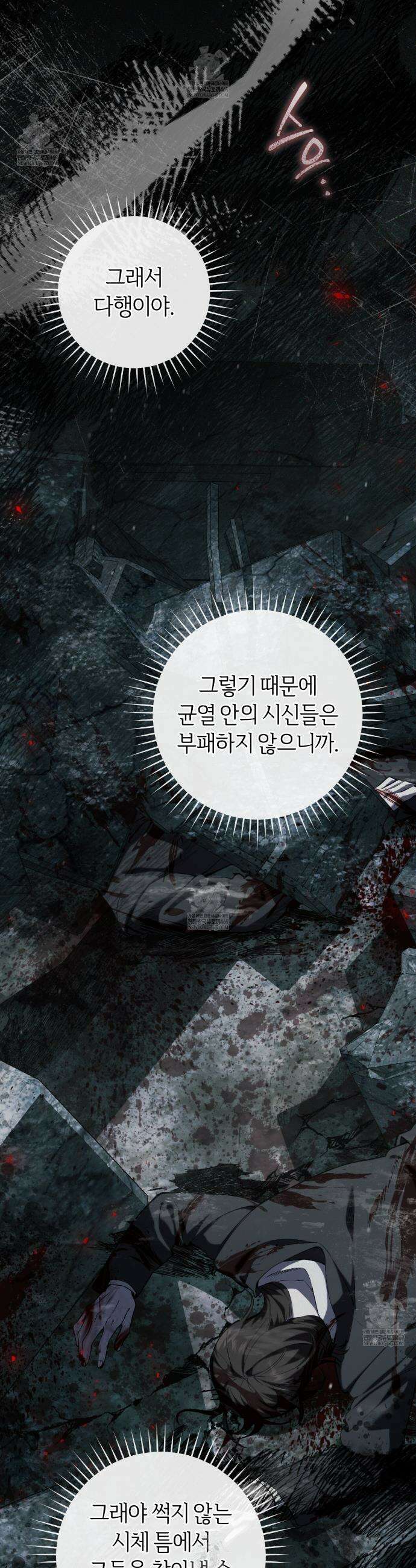 헌터는 조용히 살고 싶다 43화 2