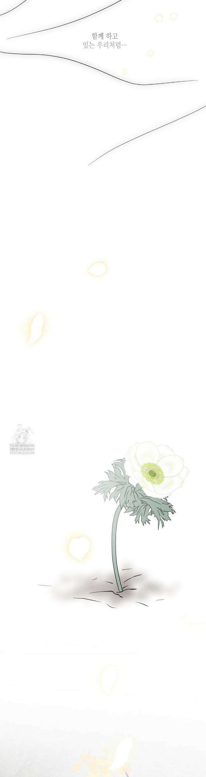 뼈와 꽃잎 77화(최종화) 45