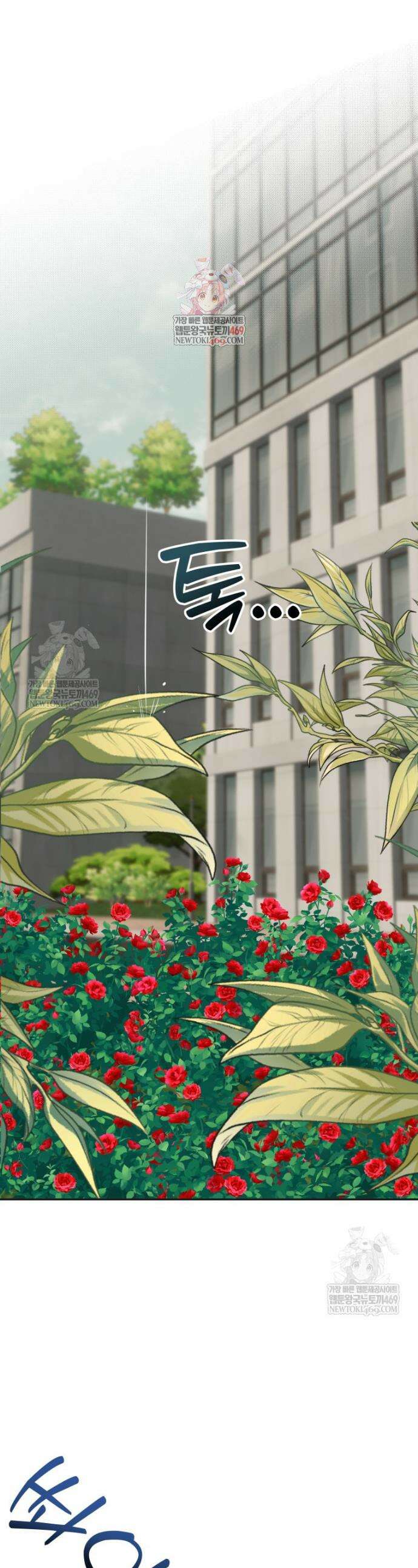 그 정략결혼 제가 할게요 19화 1