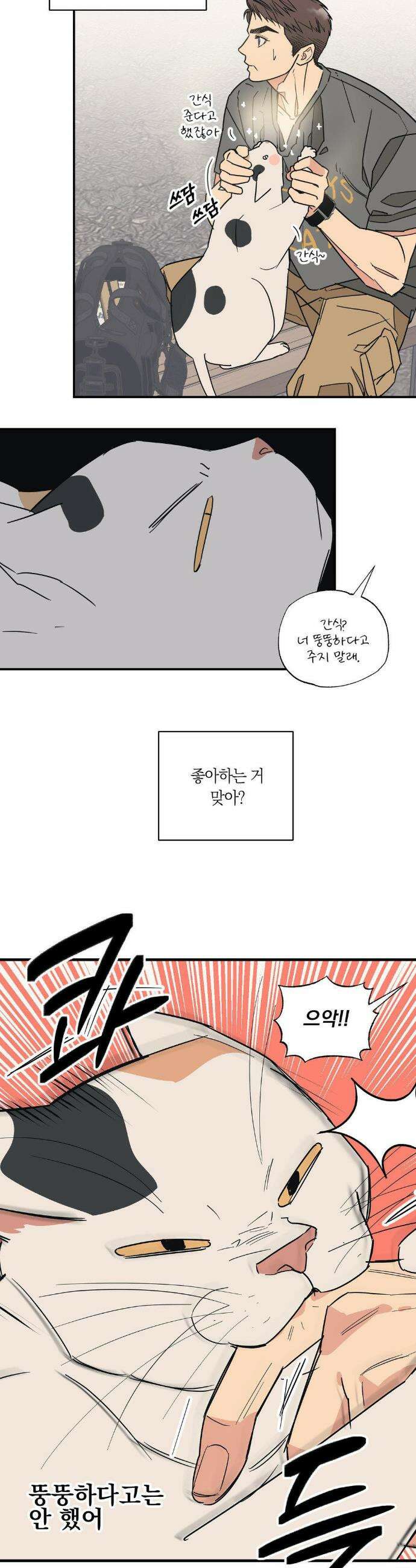 상호간택 5화 6