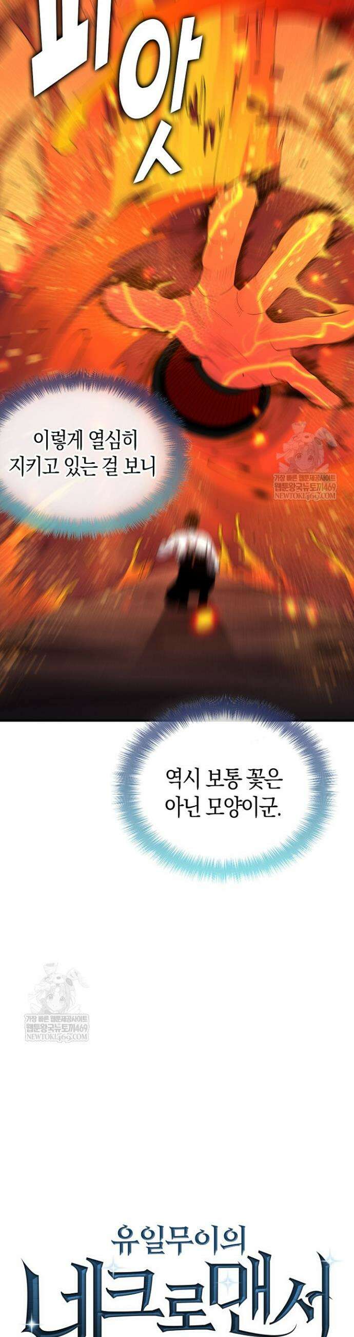 유일무이의 네크로맨서 91화 33