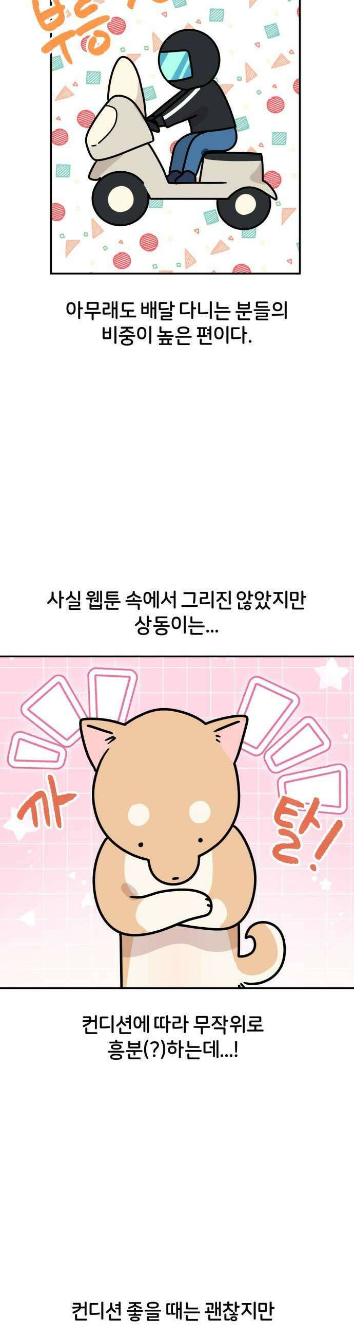 시바, 만만치 않다 79화 인도의 무법자 5