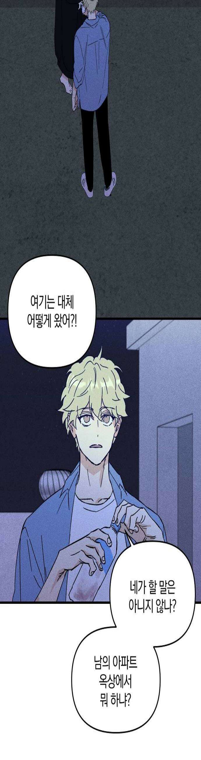 땅의기록 9화 2