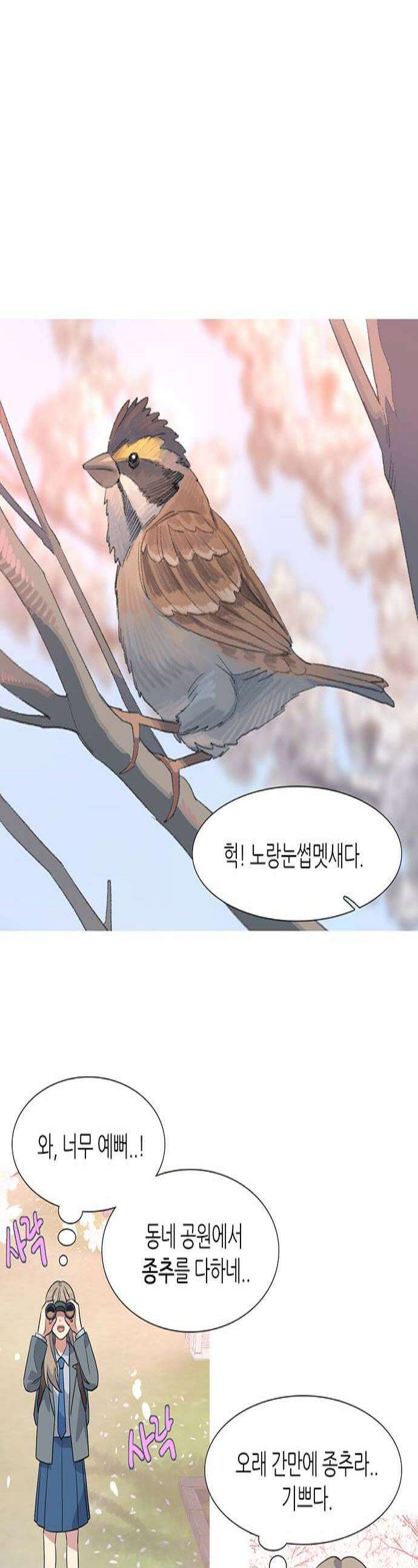 청춘 관찰기 24화 1