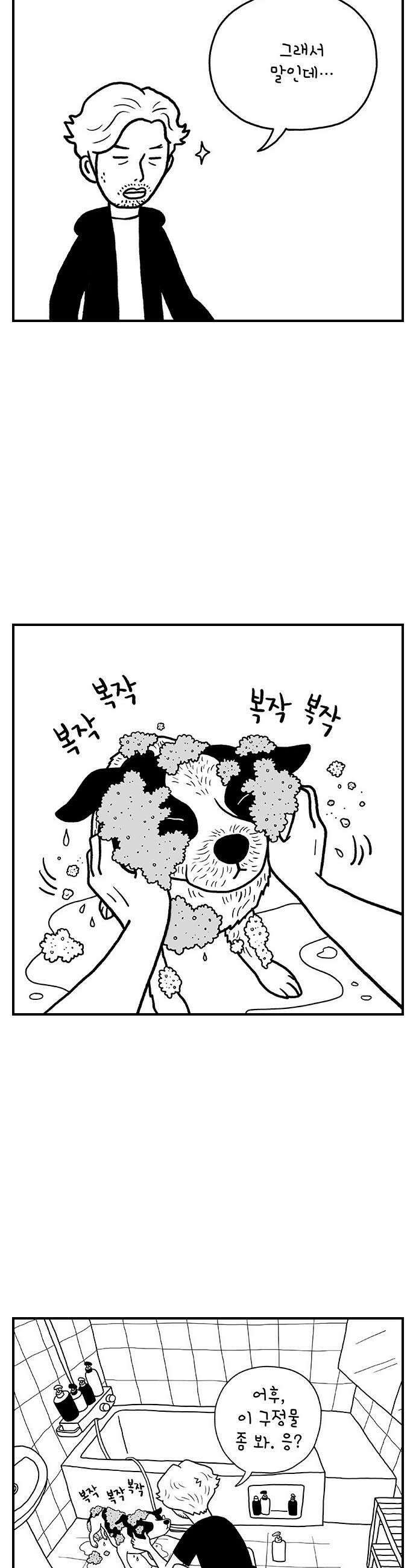 펫로스클럽 15 레오의 비밀 6