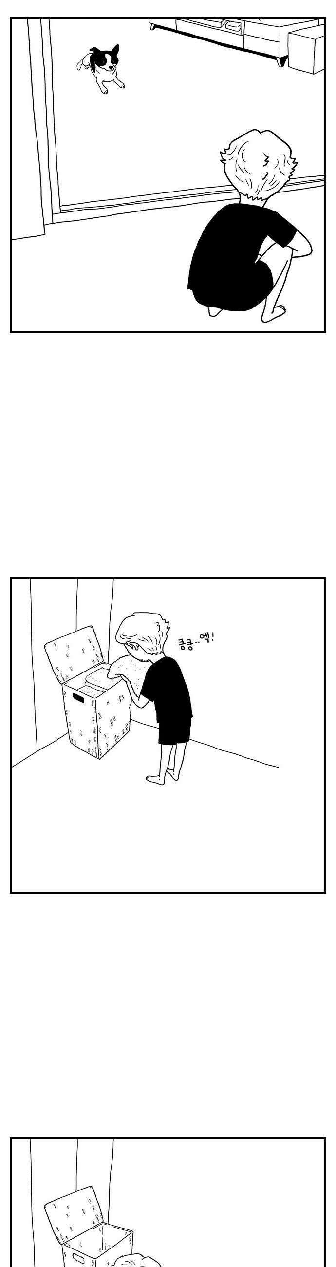펫로스클럽 15 레오의 비밀 17
