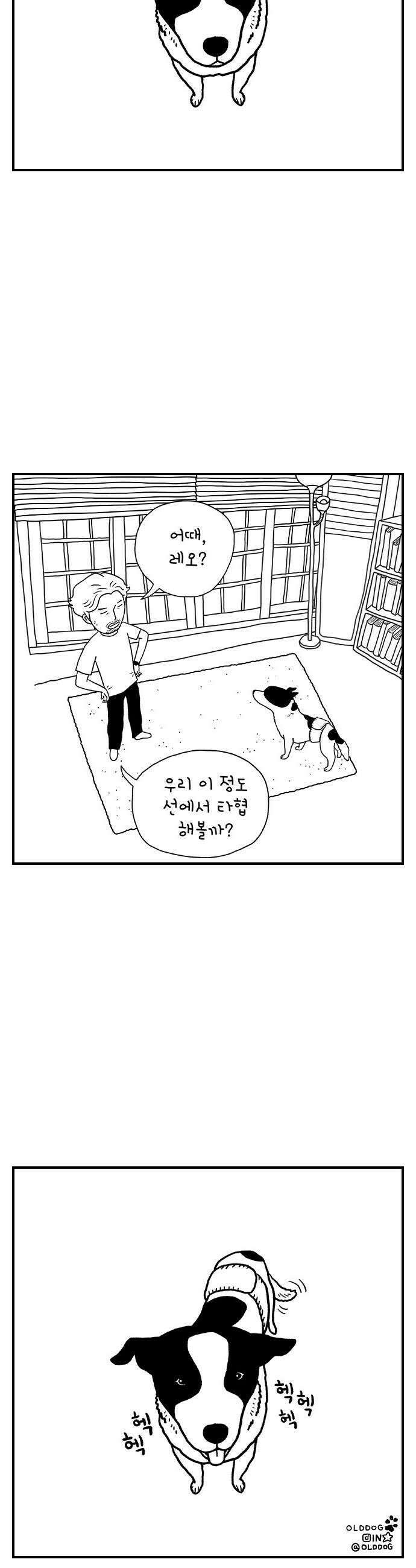 펫로스클럽 15 레오의 비밀 26