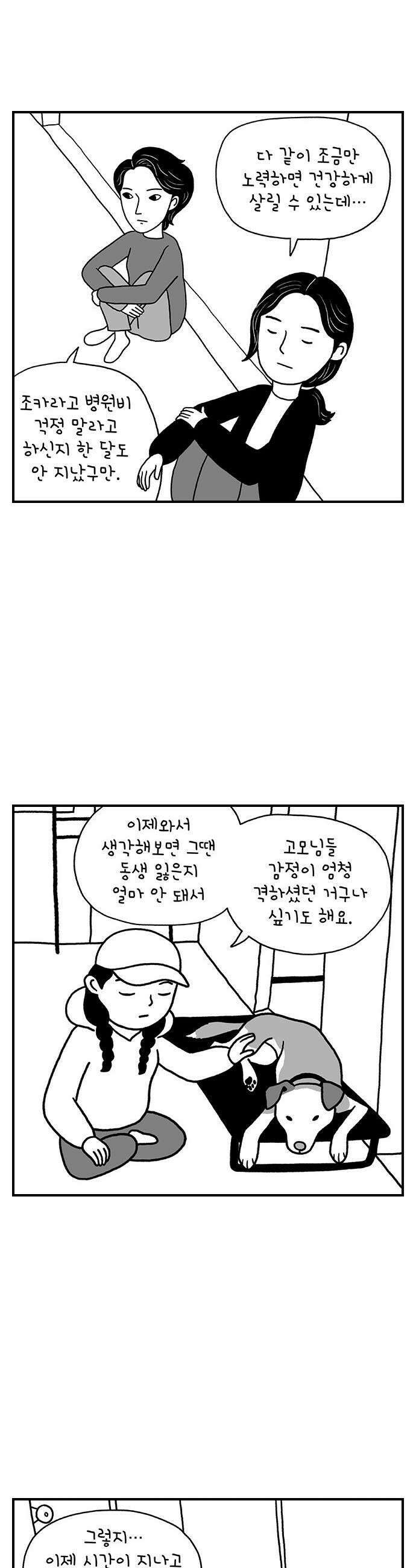 펫로스클럽 24 마을이 대책 위원회2 5