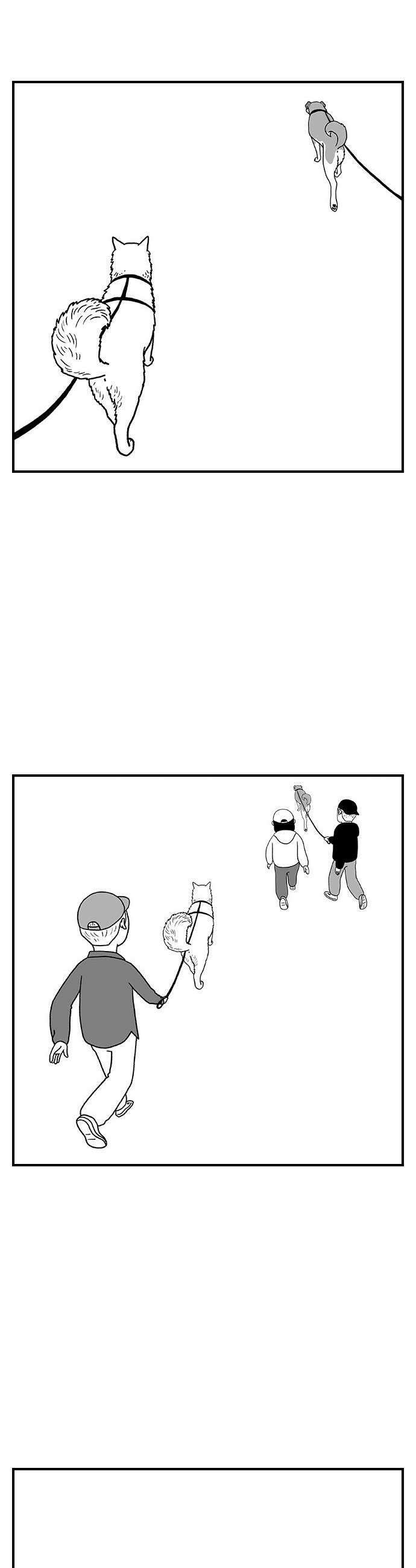 펫로스클럽 24 마을이 대책 위원회2 9