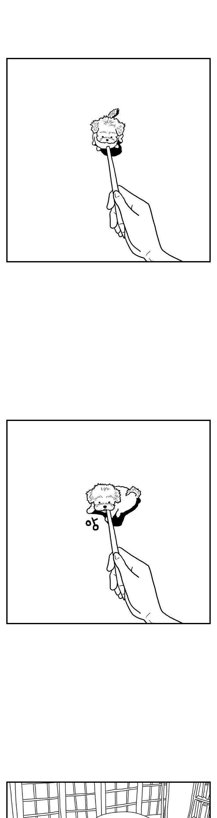 펫로스클럽 27 귤이 테라피 2 5