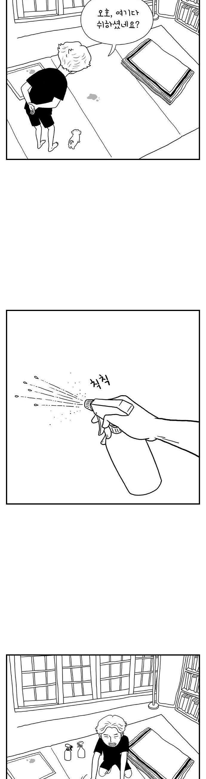 펫로스클럽 27 귤이 테라피 2 6