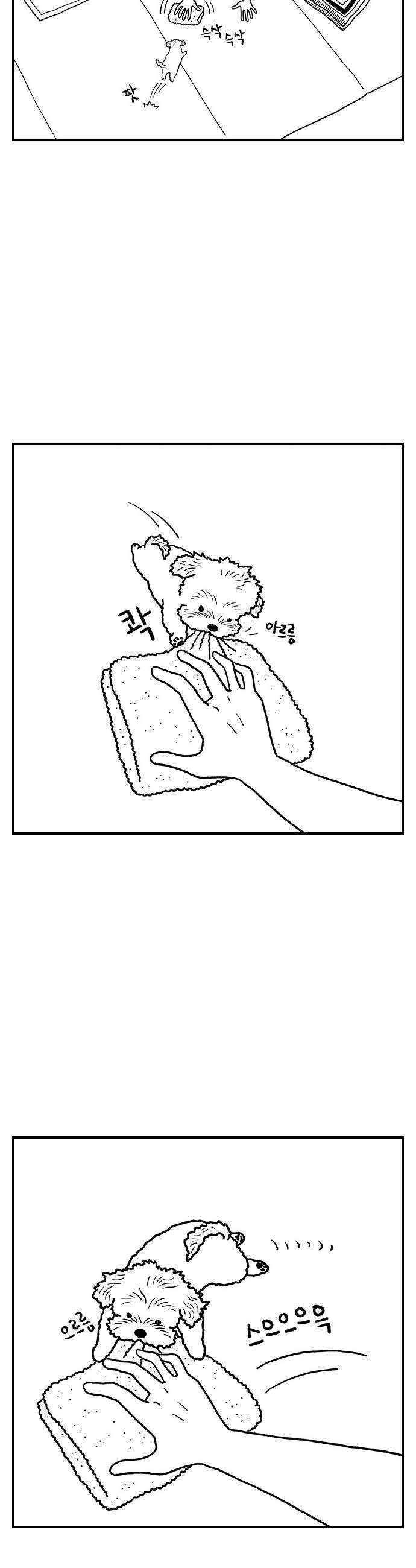 펫로스클럽 27 귤이 테라피 2 7