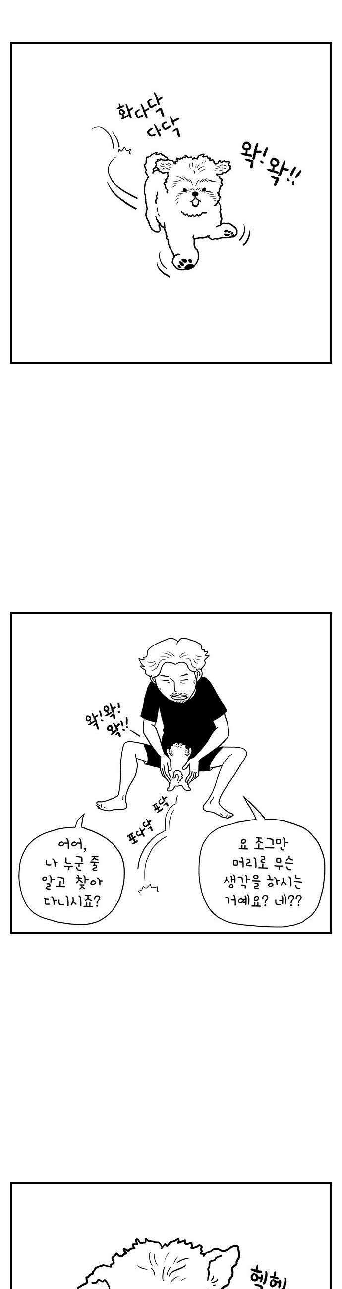 펫로스클럽 27 귤이 테라피 2 13