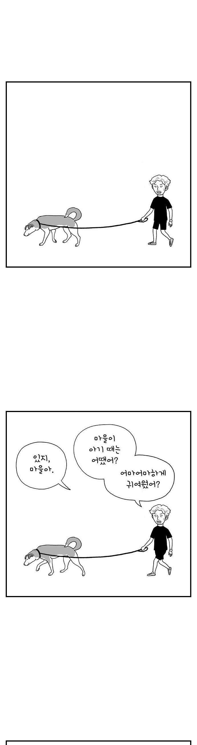 펫로스클럽 27 귤이 테라피 2 20
