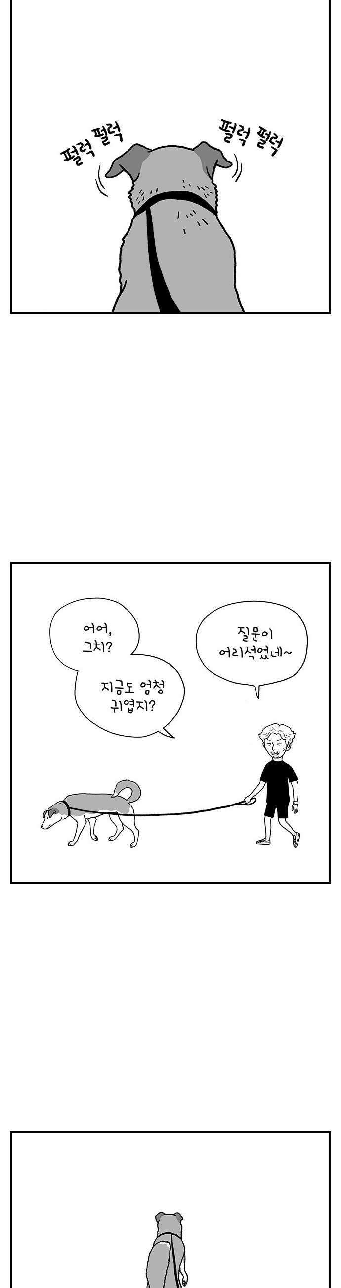 펫로스클럽 27 귤이 테라피 2 21