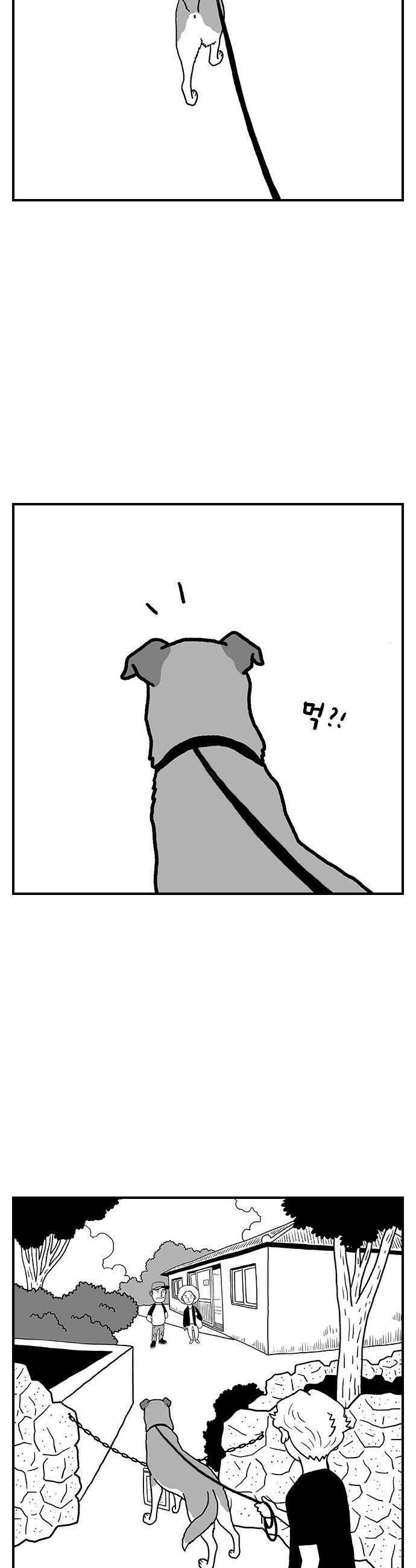 펫로스클럽 27 귤이 테라피 2 22