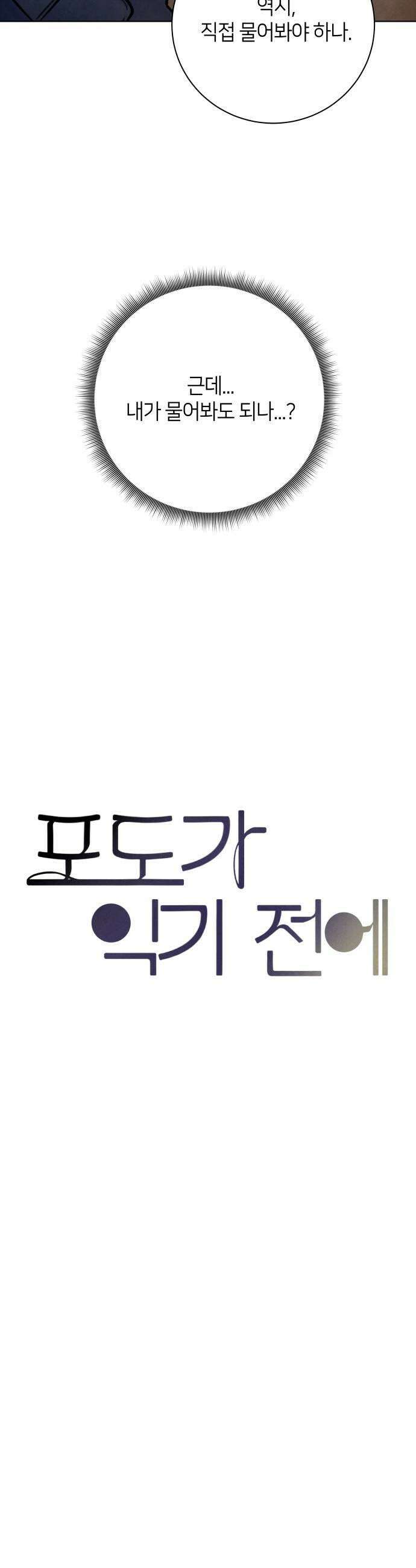 포도가 익기 전에 31화 29