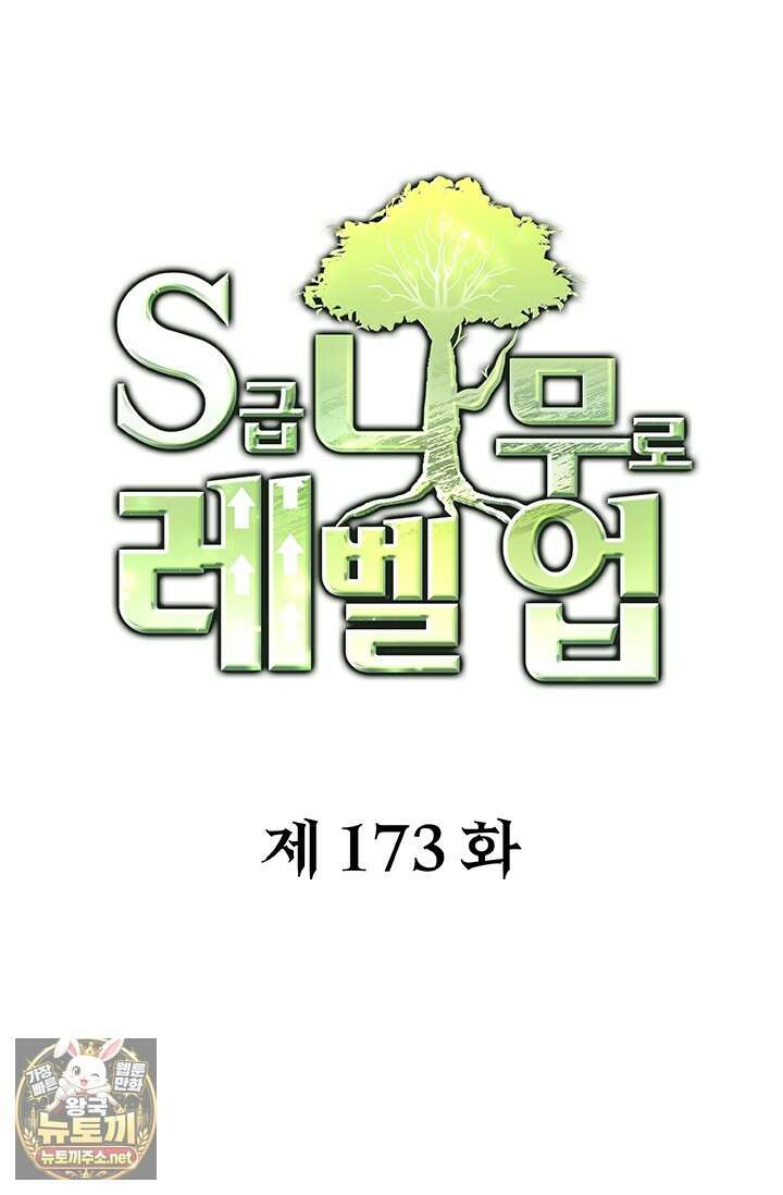 S급 나무로 레벨업 173화 1