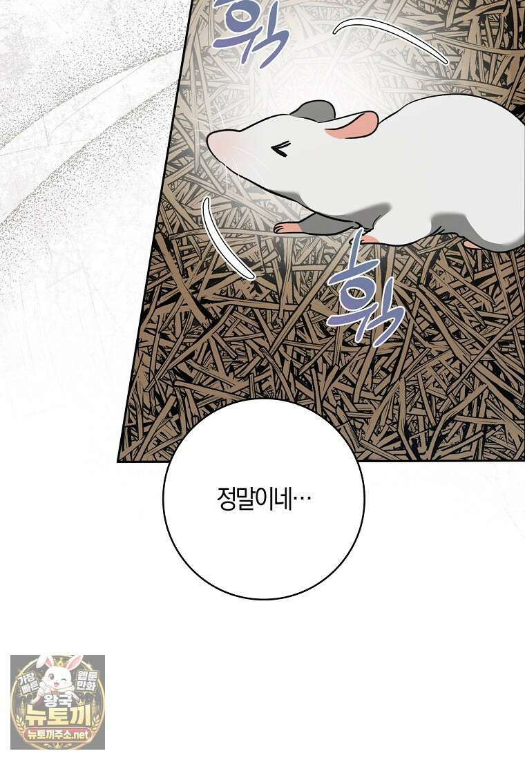 대공님이 이상한 데에 눈을 떴습니다 24화 22