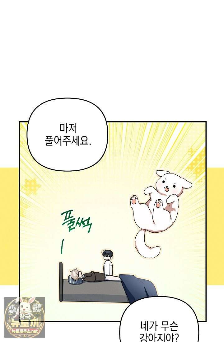 그놈이 그놈이다 53화 54