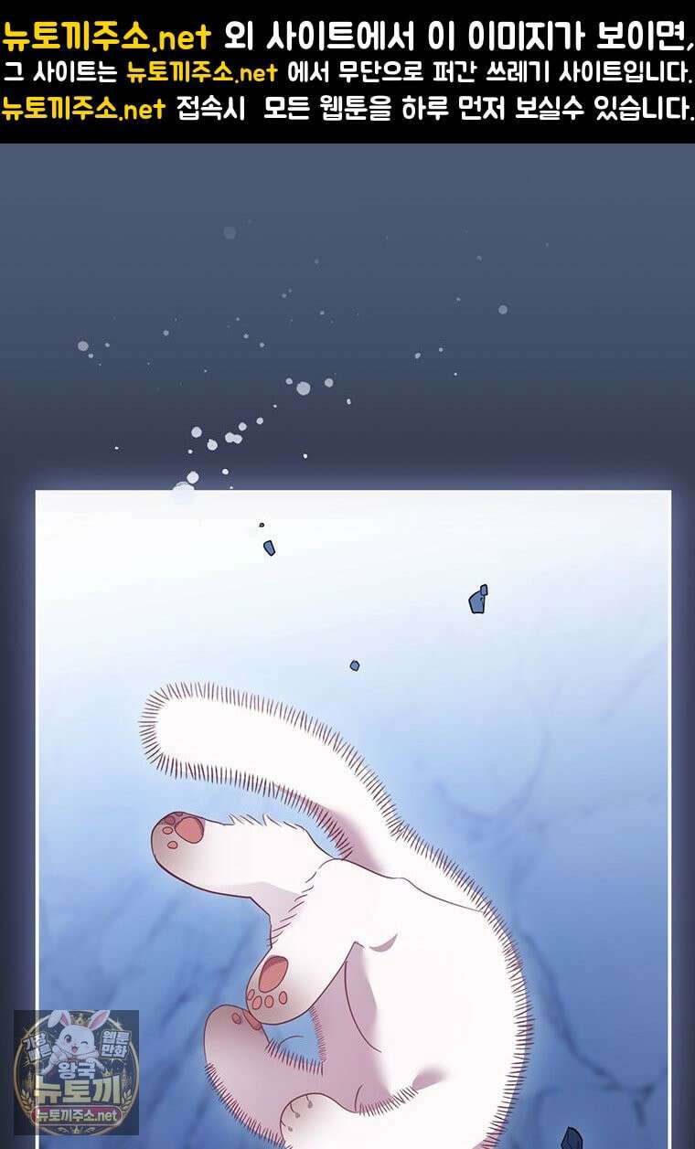 멍문세가를 호령하는 아기 고양이입니다 2화 1
