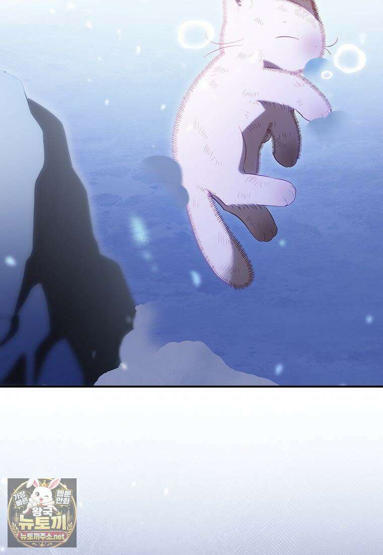 멍문세가를 호령하는 아기 고양이입니다 2화 7