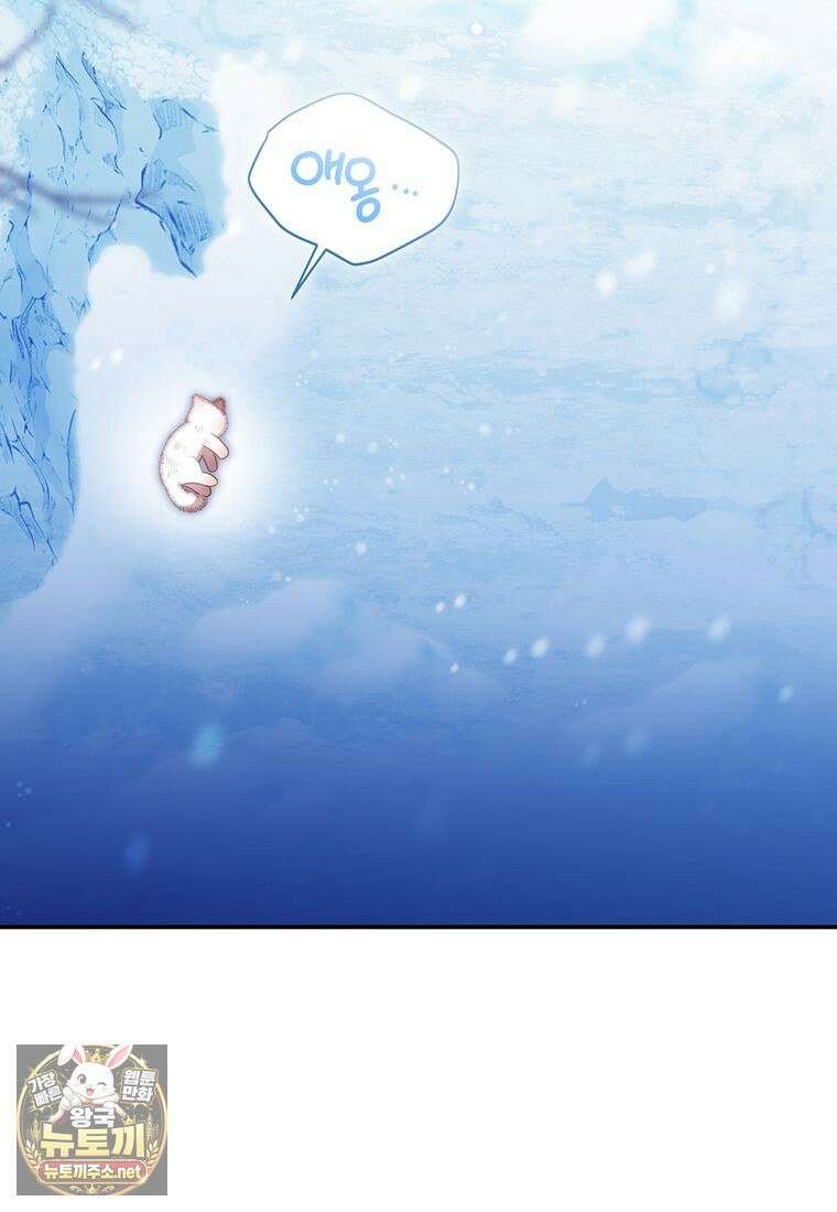 멍문세가를 호령하는 아기 고양이입니다 2화 11