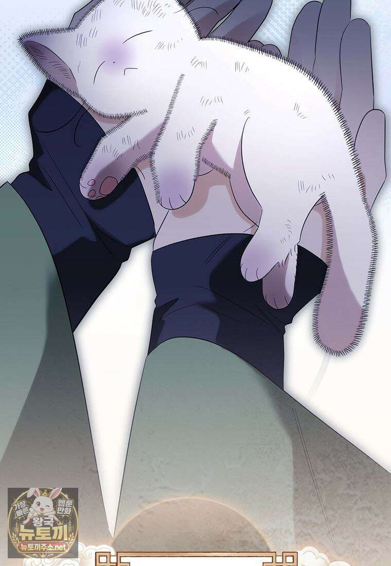 멍문세가를 호령하는 아기 고양이입니다 2화 20