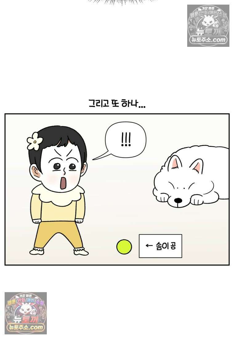 극한견주 시즌2 39화 개와 아기의 공통점(2) 8