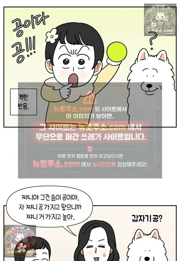 극한견주 시즌2 39화 개와 아기의 공통점(2) 9