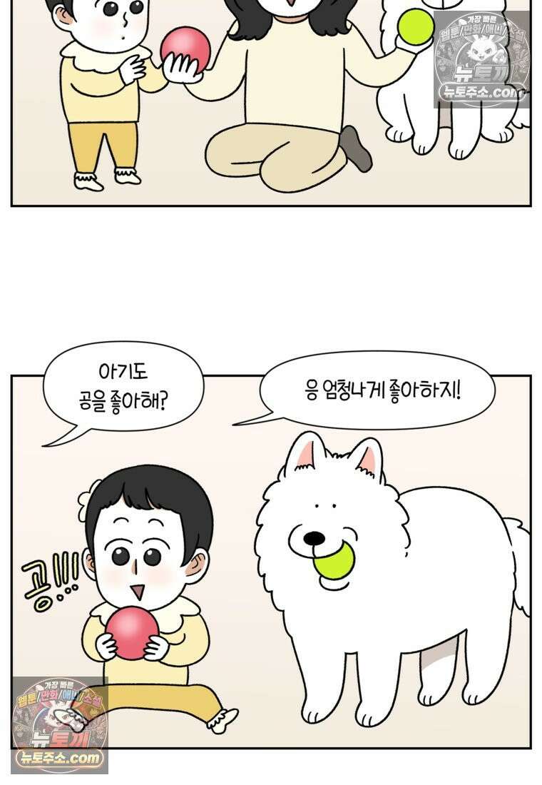 극한견주 시즌2 39화 개와 아기의 공통점(2) 10